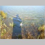 Tust 13.10.2008-28.JPG